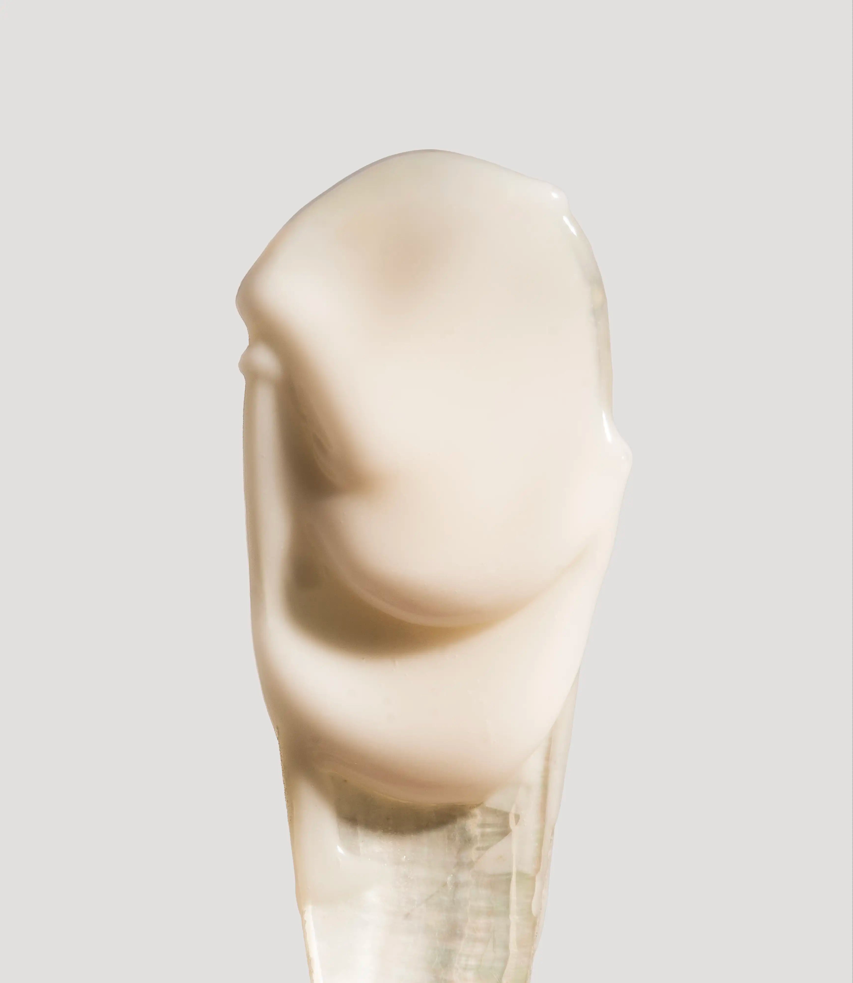 CRÈME ABSOLUE LISSANTE CORRECTRICE ANTI-RIDES